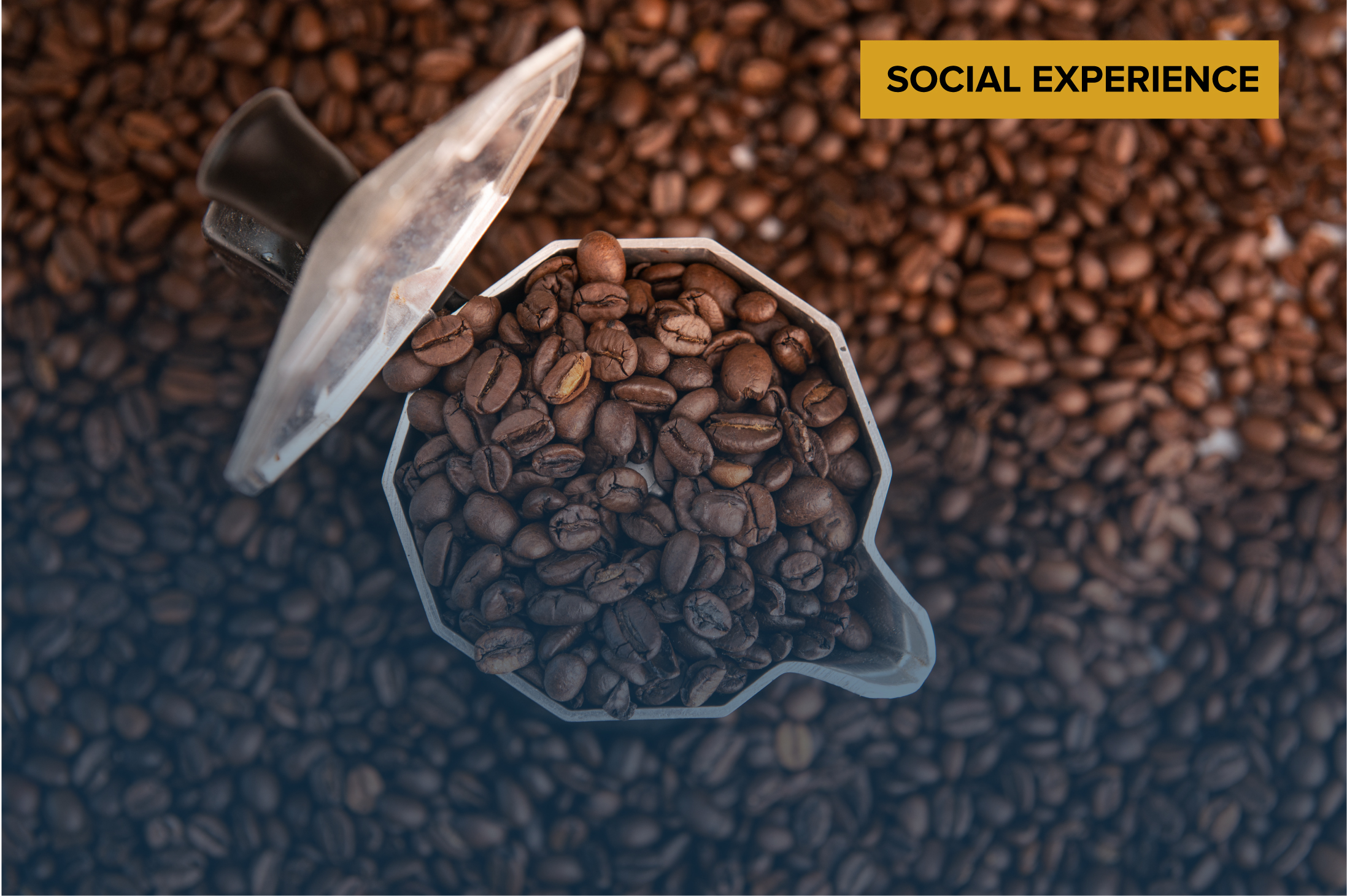 Coffee Masterclass