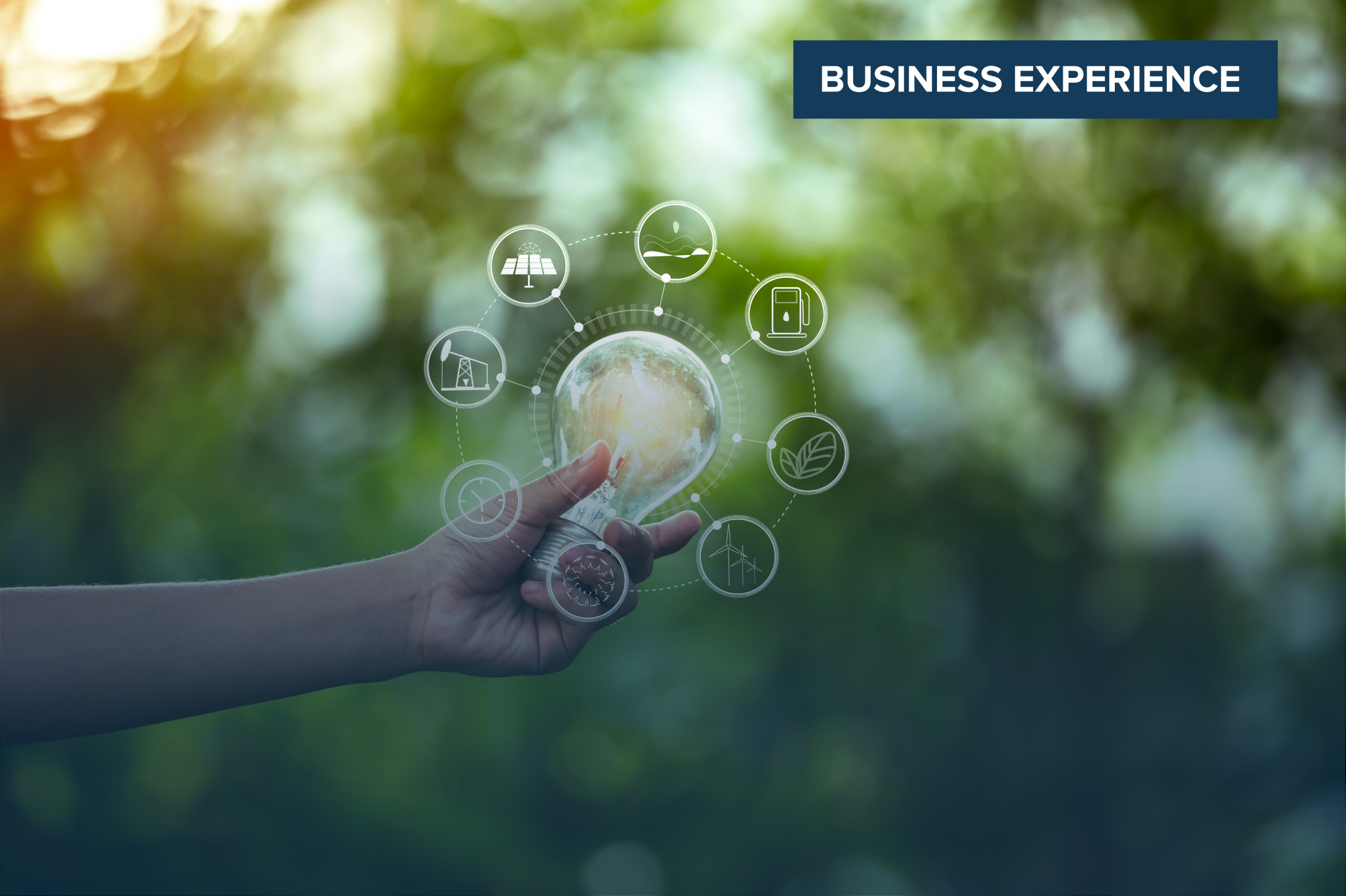 Sustainability as a CFO Imperative