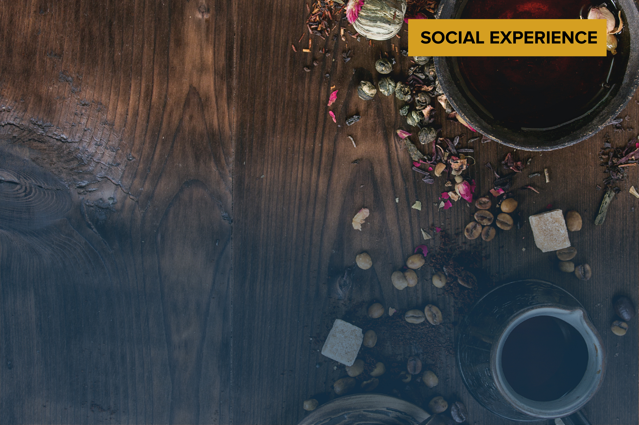 Gastronomy Meets Coffee
