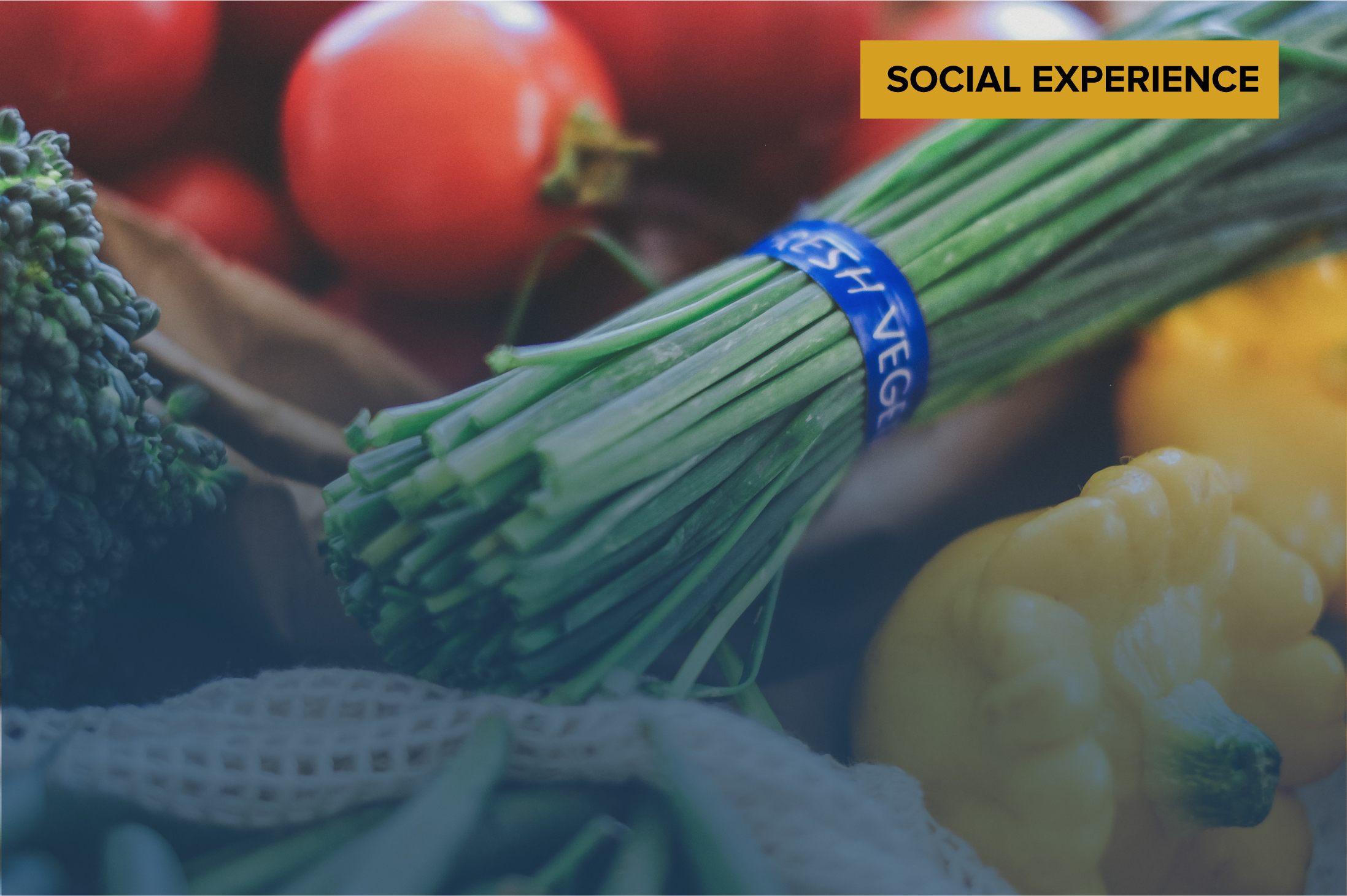 Sustainability Menu