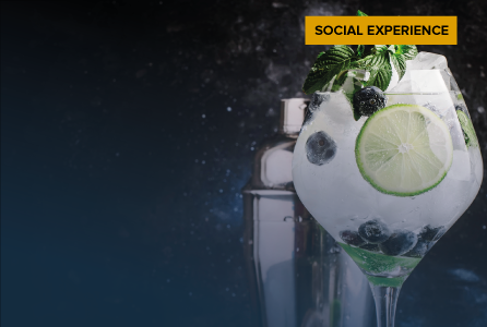 Gin Masterclass