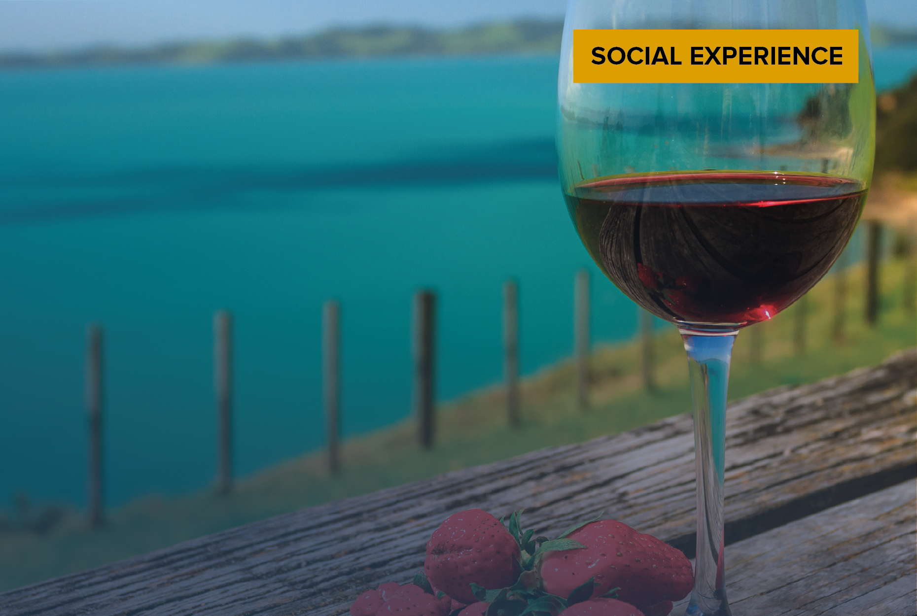 Wine Society New Zealand