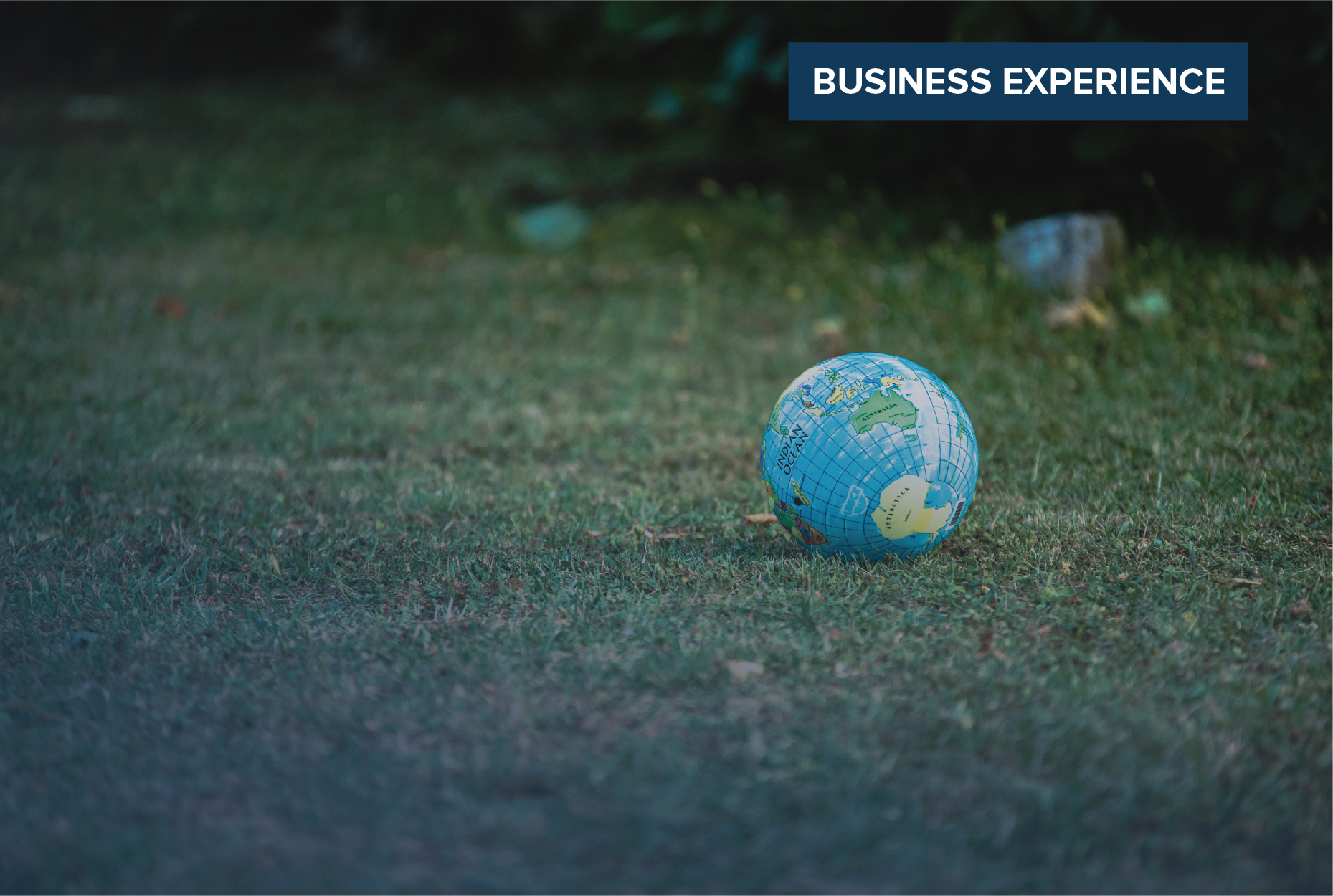 In-depth Conversation: SDGs & Business